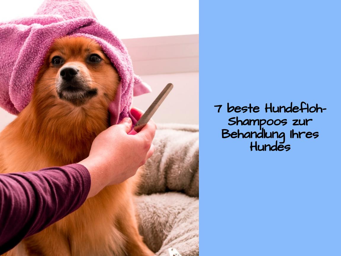 7 beste Hundefloh-Shampoos zur Behandlung Ihres Hundes