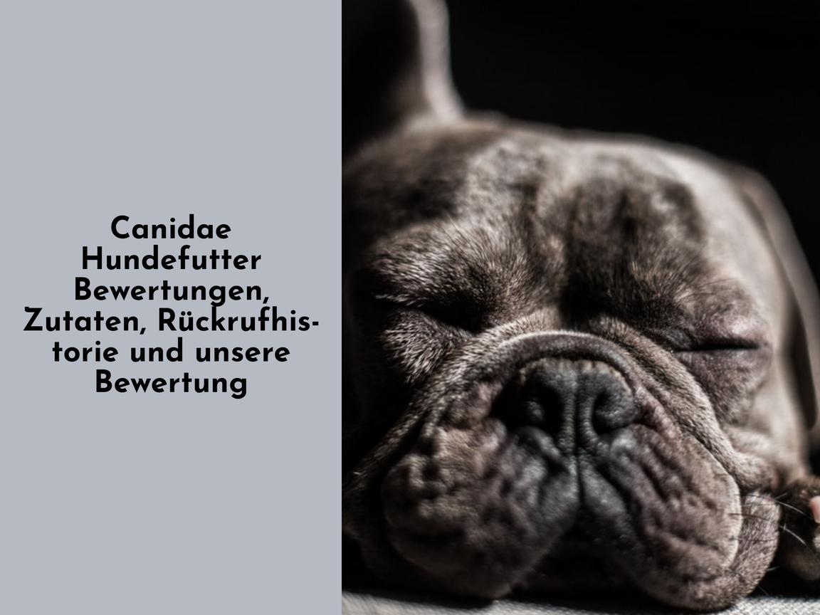 Canidae Hundefutter Bewertungen, Zutaten, Rückrufhistorie und unsere Bewertung