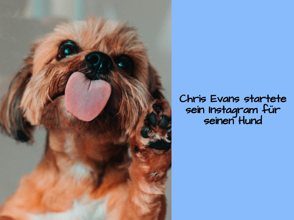Chris Evans startete sein Instagram für seinen Hund