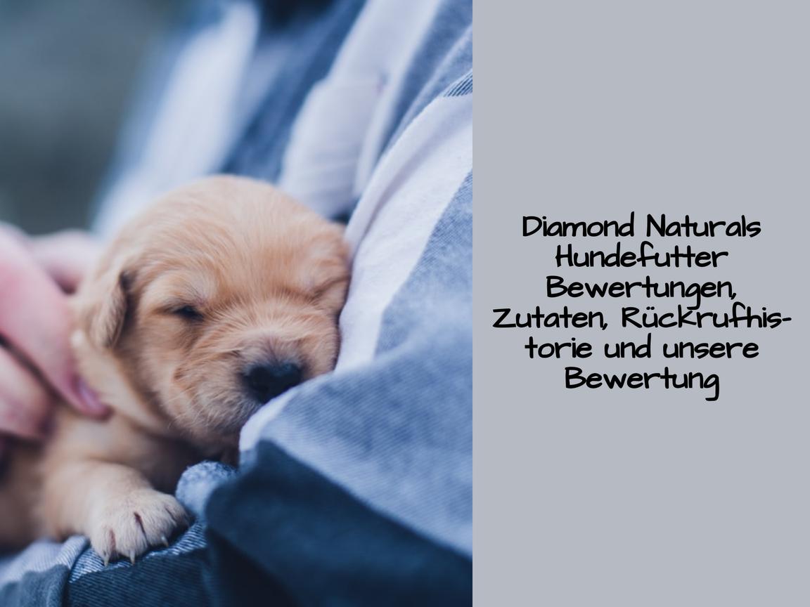 Diamond Naturals Hundefutter Bewertungen, Zutaten, Rückrufhistorie und unsere Bewertung