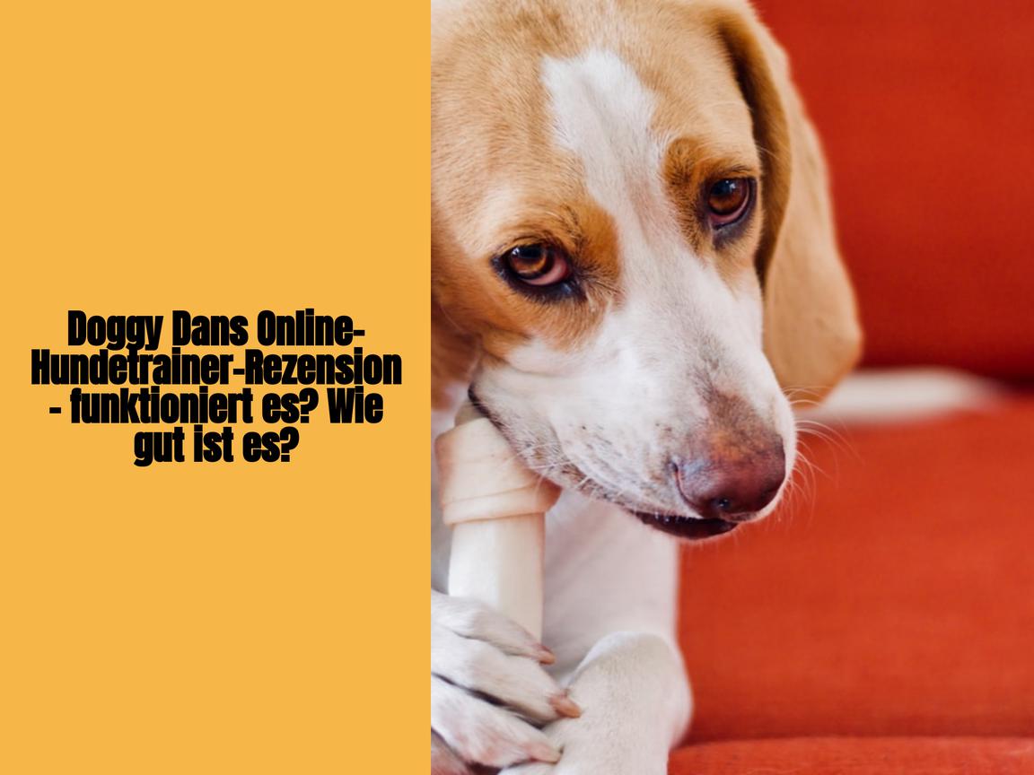 Doggy Dans Online-Hundetrainer-Rezension – funktioniert es? Wie gut ist es?