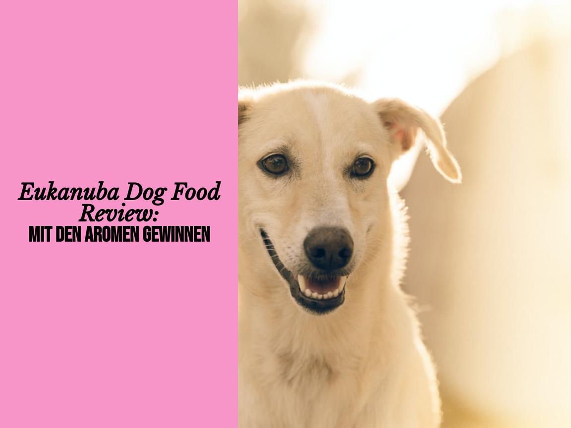 Eukanuba Dog Food Review: Mit den Aromen gewinnen