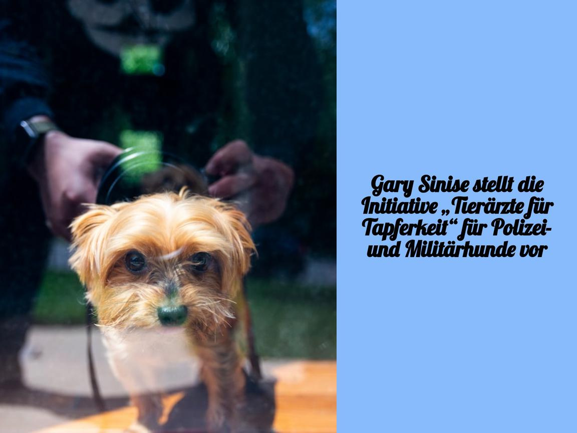 Gary Sinise stellt die Initiative „Tierärzte für Tapferkeit“ für Polizei- und Militärhunde vor