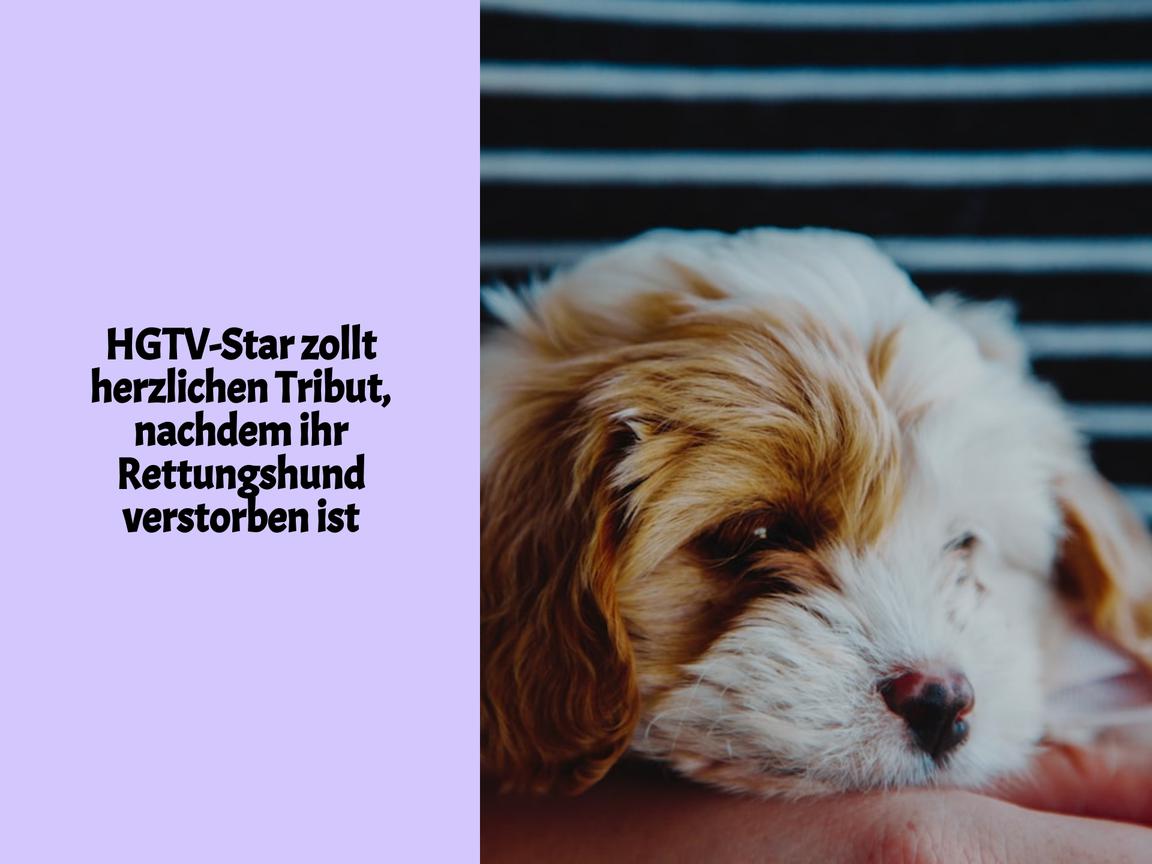 HGTV-Star zollt herzlichen Tribut, nachdem ihr Rettungshund verstorben ist