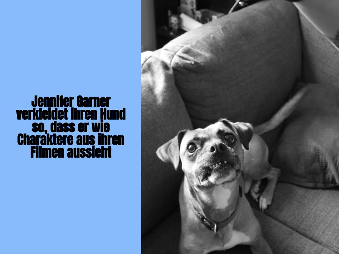 Jennifer Garner verkleidet ihren Hund so, dass er wie Charaktere aus ihren Filmen aussieht
