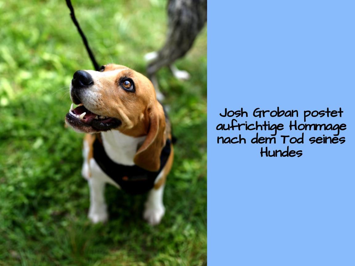 Josh Groban postet aufrichtige Hommage nach dem Tod seines Hundes