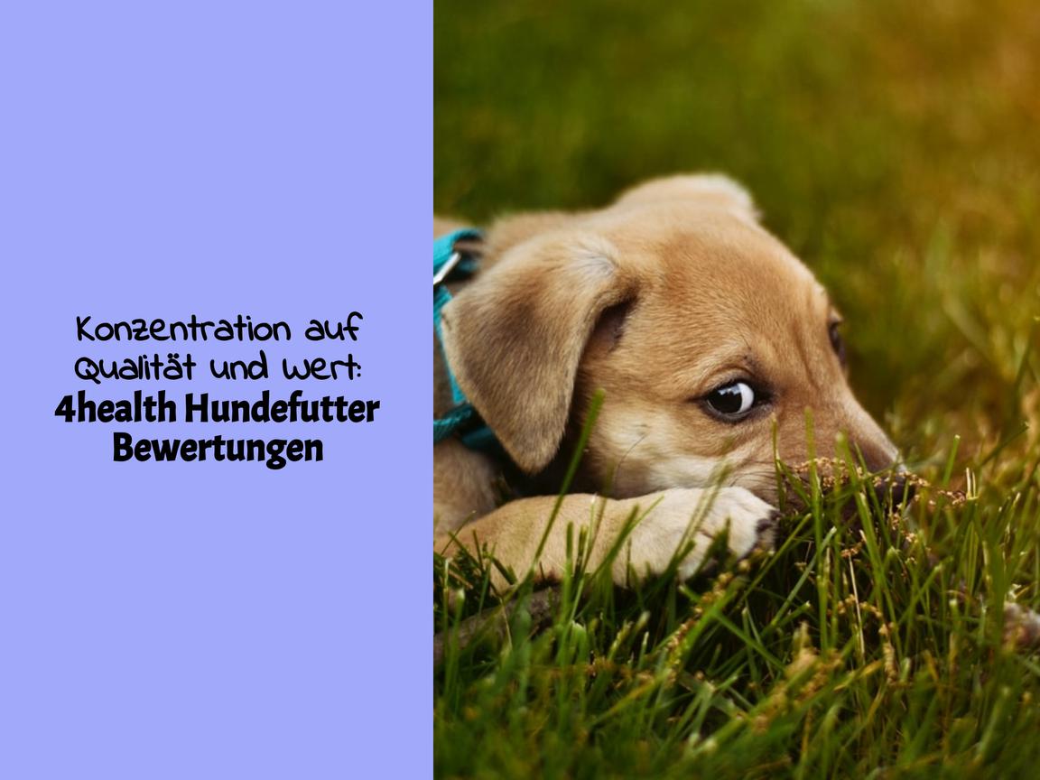 Konzentration auf Qualität und Wert: 4health Hundefutter Bewertungen