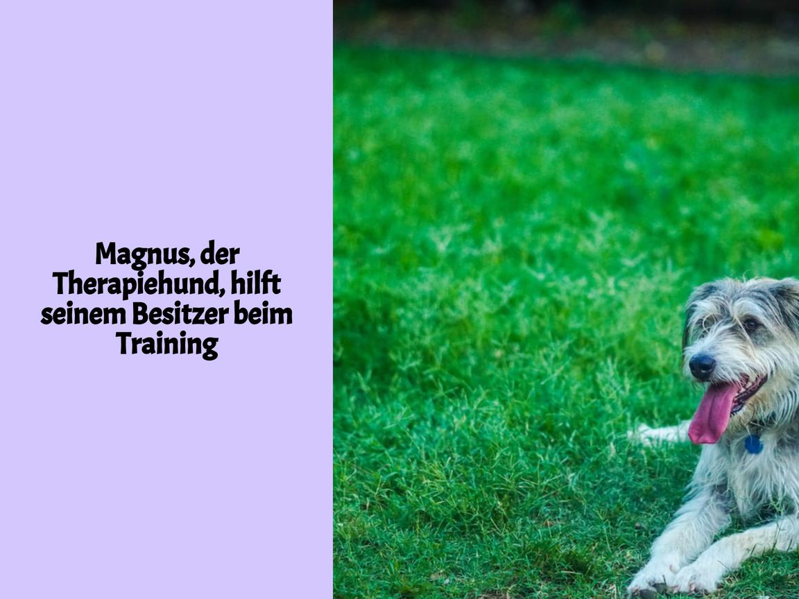 Magnus, der Therapiehund, hilft seinem Besitzer beim Training