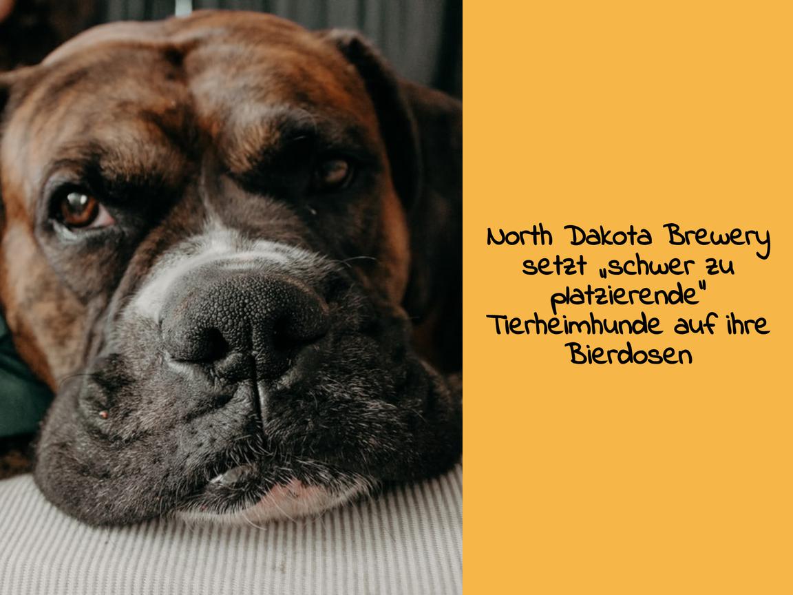 North Dakota Brewery setzt „schwer zu platzierende“ Tierheimhunde auf ihre Bierdosen