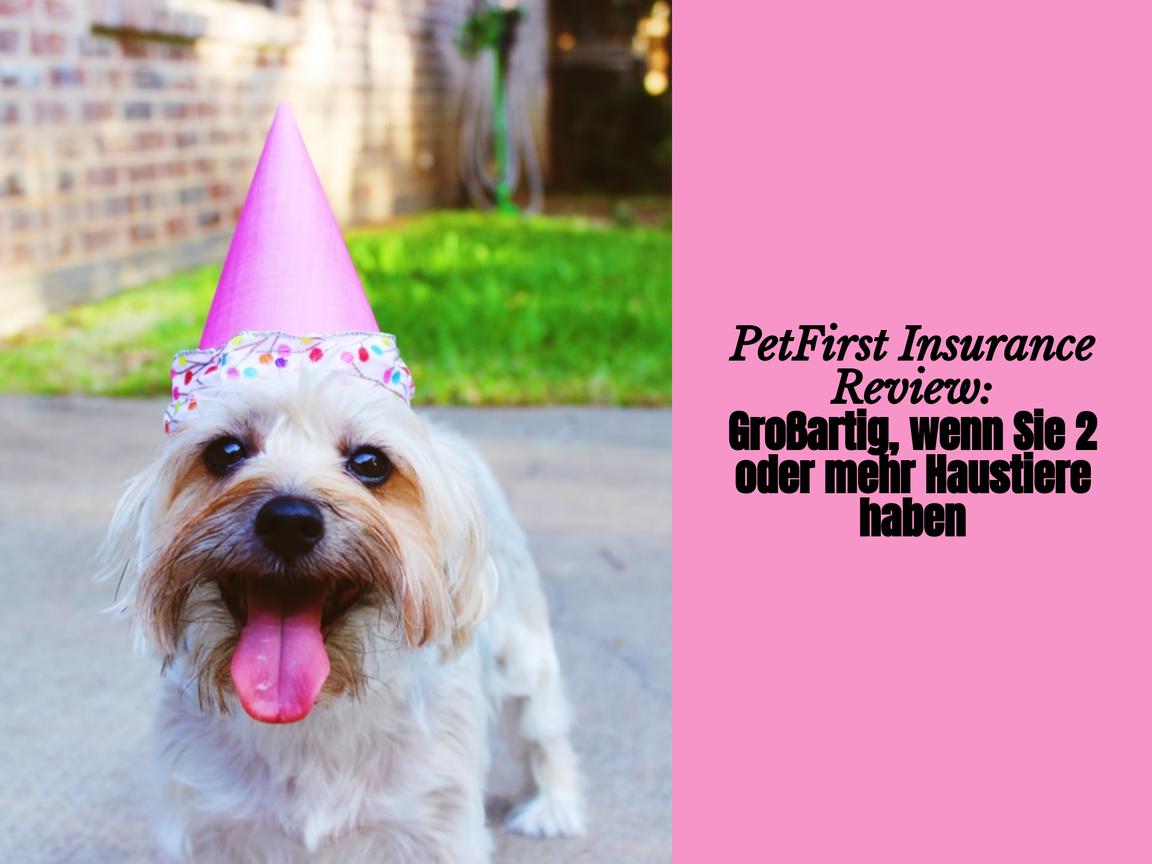 PetFirst Insurance Review: Großartig, wenn Sie 2 oder mehr Haustiere haben