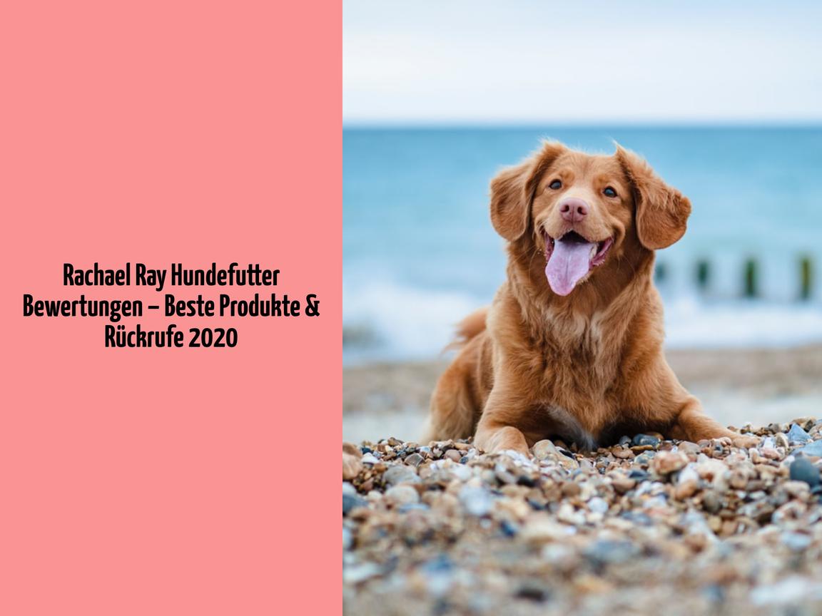 Rachael Ray Hundefutter Bewertungen – Beste Produkte & Rückrufe 2020