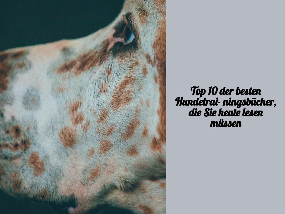 Top 10 der besten Hundetrainingsbücher, die Sie heute lesen müssen