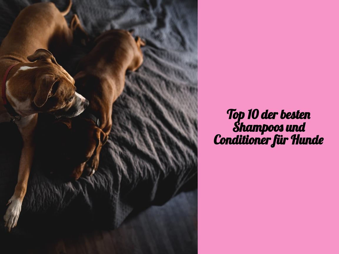 Top 10 der besten Shampoos und Conditioner für Hunde